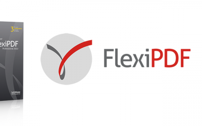 BinaryNow Renew Product Portfolio with FlexiPDF Professional 2022 for Windows