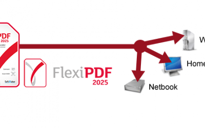 FlexiPDF 2025 Volume licensing explained -FAQ